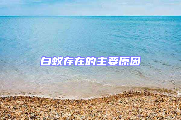 白蟻存在的主要原因