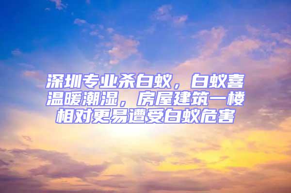 深圳專業殺白蟻，白蟻喜溫暖潮濕，房屋建筑一樓相對更易遭受白蟻危害