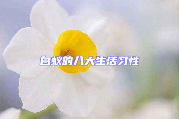 白蟻的八大生活習性