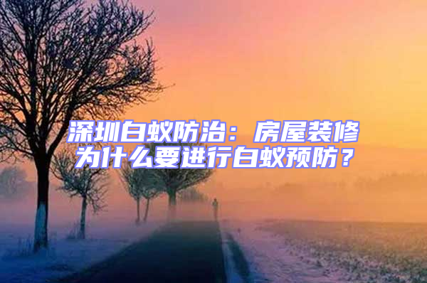 深圳白蟻防治：房屋裝修為什么要進行白蟻預防？