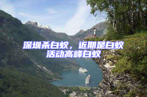 深圳殺白蟻，近期是白蟻活動高峰白蟻