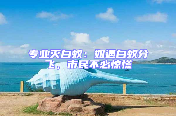 專業滅白蟻：如遇白蟻分飛，市民不必驚慌