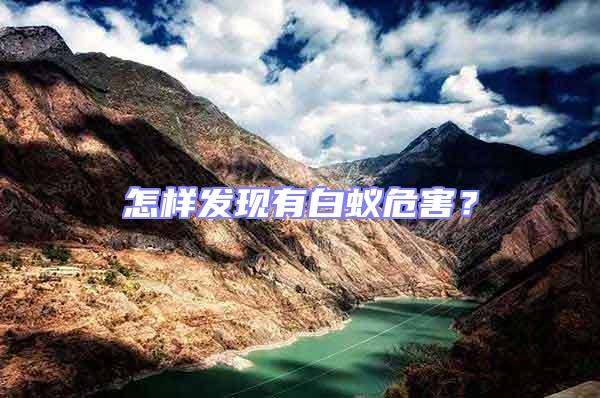怎樣發(fā)現(xiàn)有白蟻危害？