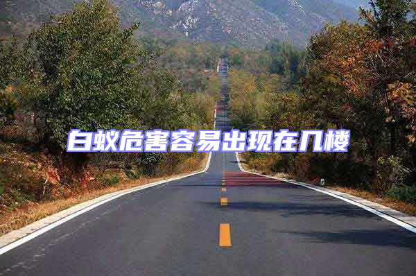 白蟻危害容易出現在幾樓