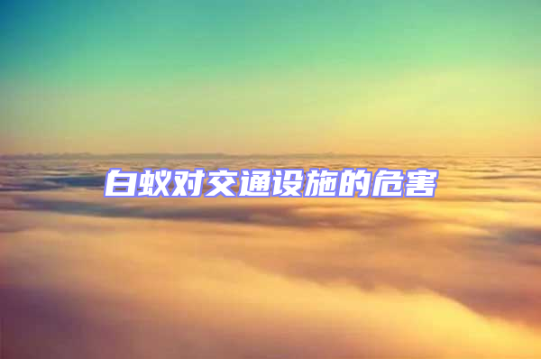 白蟻對(duì)交通設(shè)施的危害