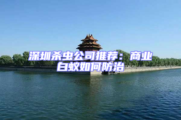 深圳殺蟲公司推薦：商業白蟻如何防治
