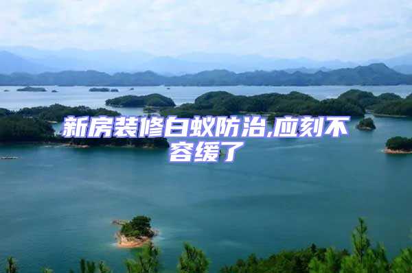 新房裝修白蟻防治,應刻不容緩了