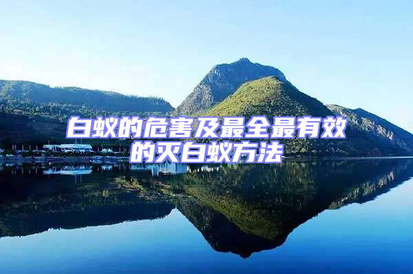 白蟻的危害及最全最有效的滅白蟻方法
