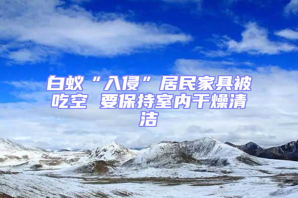 白蟻“入侵”居民家具被吃空 要保持室內(nèi)干燥清潔