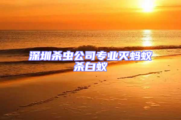 深圳殺蟲(chóng)公司專業(yè)滅螞蟻殺白蟻