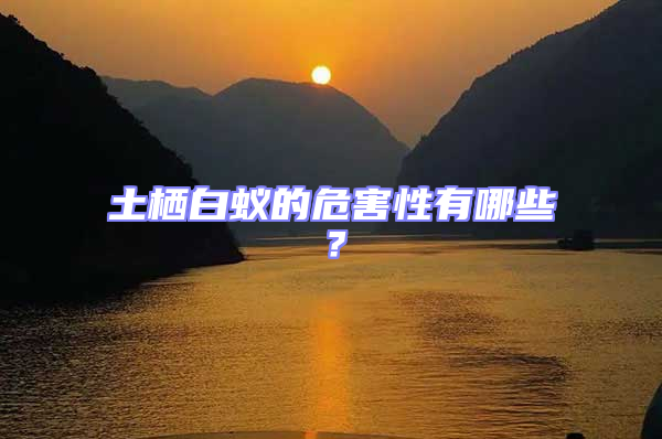 土棲白蟻的危害性有哪些？