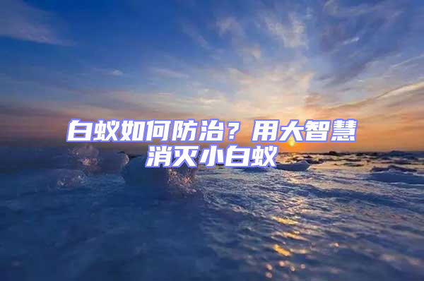 白蟻如何防治？用大智慧消滅小白蟻