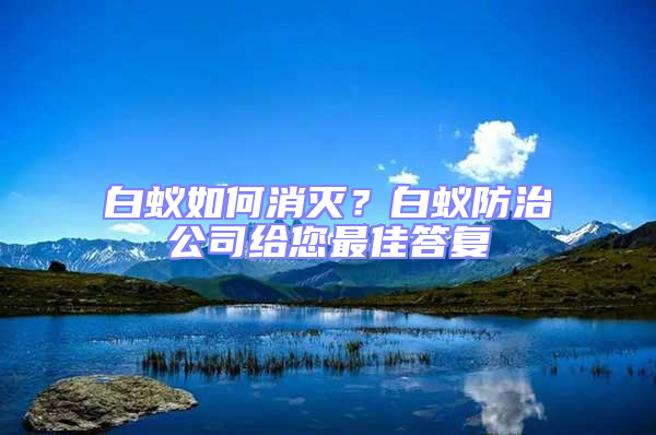 白蟻如何消滅？白蟻防治公司給您最佳答復
