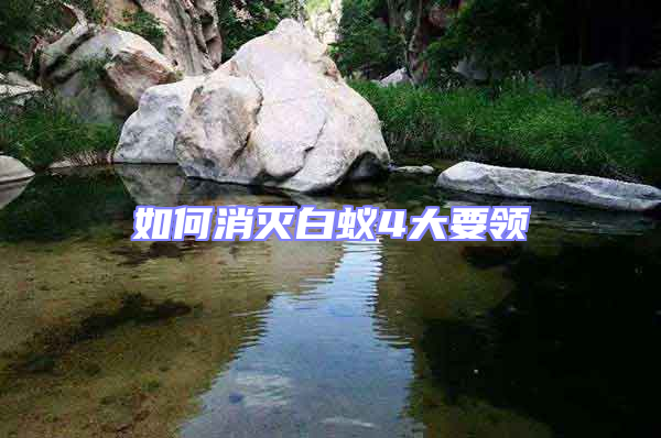 如何消滅白蟻4大要領