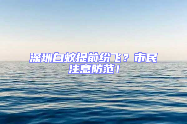 深圳白蟻提前紛飛？市民注意防范！