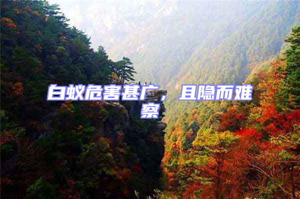 白蟻危害甚廣，且隱而難察