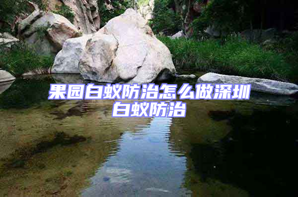 果園白蟻防治怎么做深圳白蟻防治