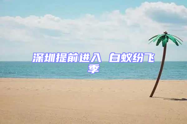 深圳提前進入 白蟻紛飛季