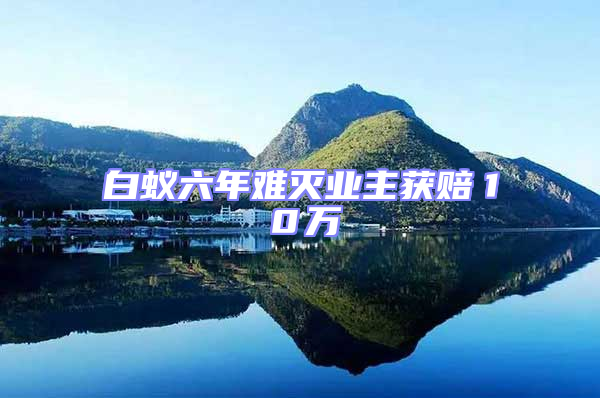 白蟻六年難滅業主獲賠１０萬