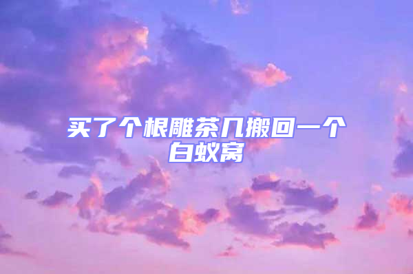 買了個(gè)根雕茶幾搬回一個(gè)白蟻窩