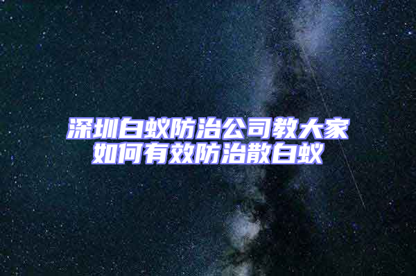 深圳白蟻防治公司教大家如何有效防治散白蟻