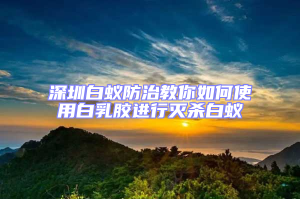 深圳白蟻防治教你如何使用白乳膠進行滅殺白蟻