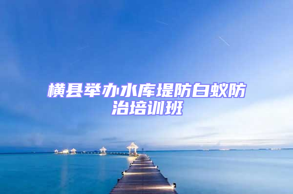 橫縣舉辦水庫堤防白蟻防治培訓班