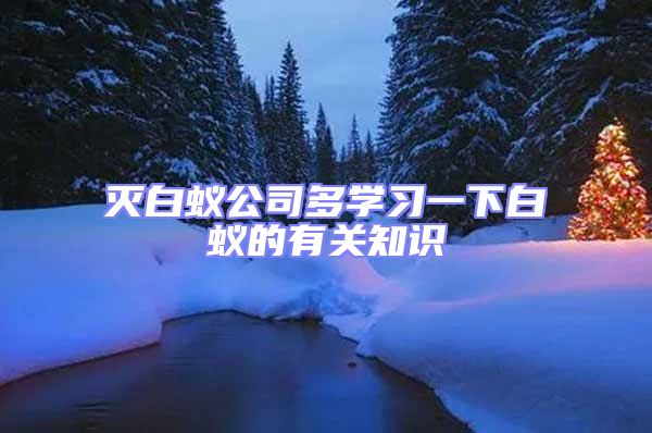滅白蟻公司多學習一下白蟻的有關知識