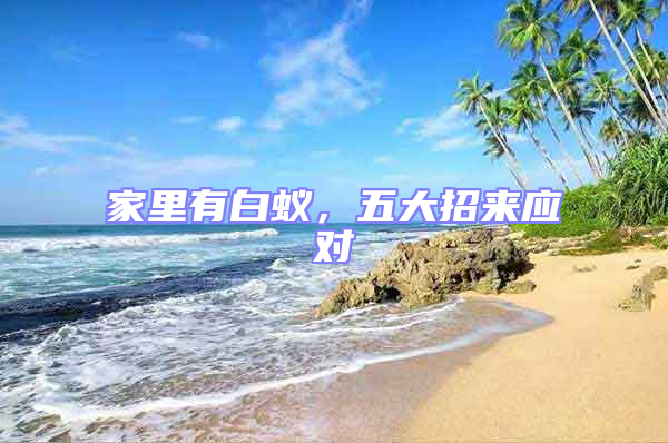 家里有白蟻，五大招來應對