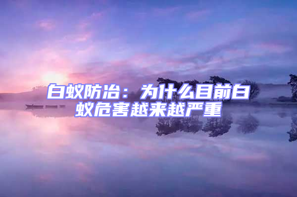 白蟻防冶：為什么目前白蟻危害越來越嚴重