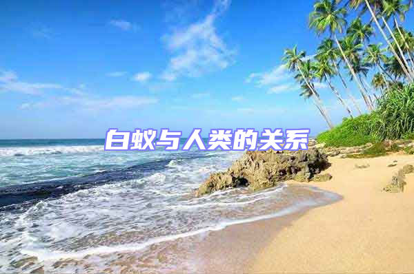 白蟻與人類的關系