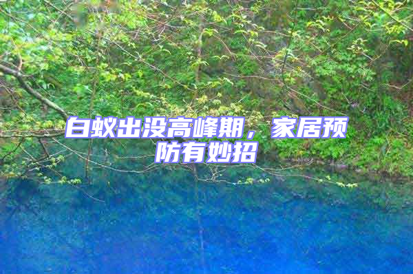 白蟻出沒高峰期，家居預防有妙招