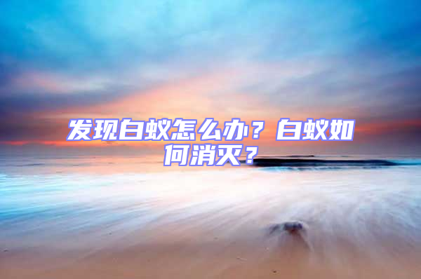 發現白蟻怎么辦？白蟻如何消滅？