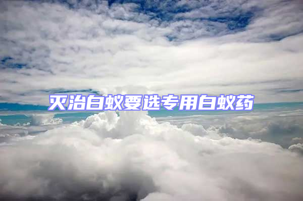滅治白蟻要選專用白蟻藥
