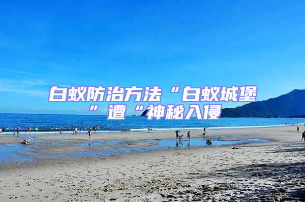 白蟻防治方法“白蟻城堡”遭“神秘入侵