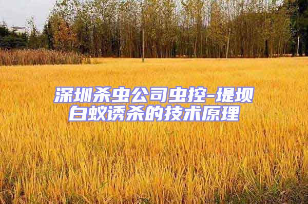 深圳殺蟲公司蟲控-堤壩白蟻誘殺的技術原理