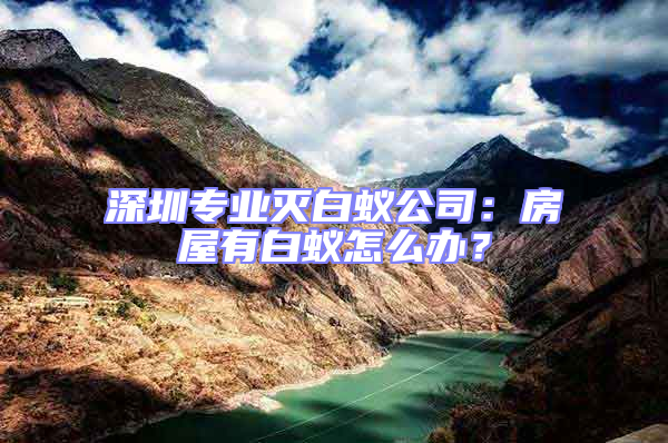 深圳專業滅白蟻公司：房屋有白蟻怎么辦？