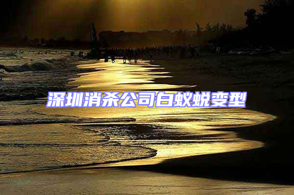 深圳消殺公司白蟻蛻變型