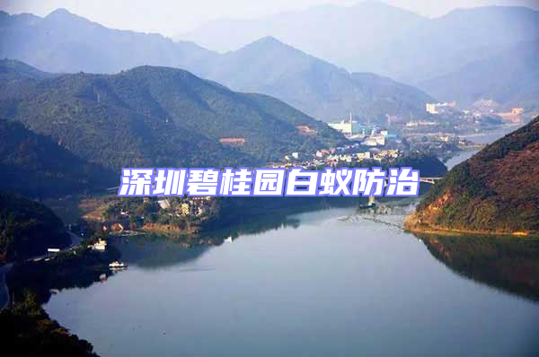 深圳碧桂園白蟻防治