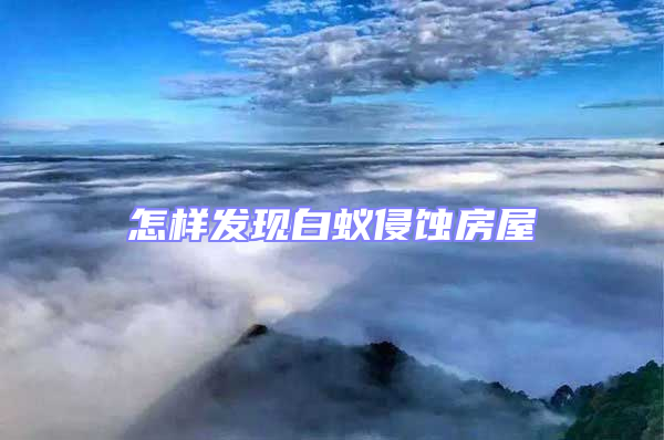 怎樣發現白蟻侵蝕房屋