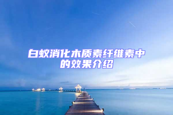 白蟻消化木質素纖維素中的效果介紹