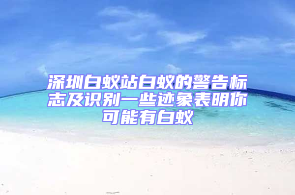深圳白蟻站白蟻的警告標(biāo)志及識(shí)別一些跡象表明你可能有白蟻