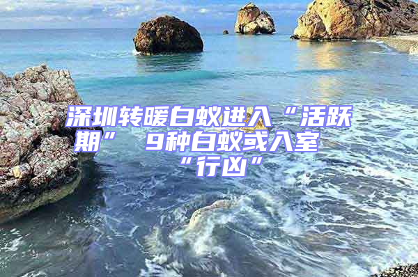 深圳轉暖白蟻進入“活躍期” 9種白蟻或入室“行兇”