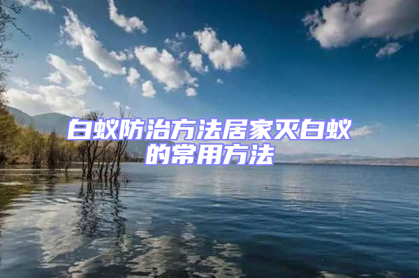 白蟻防治方法居家滅白蟻的常用方法