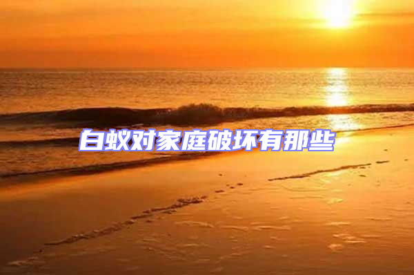 白蟻對家庭破壞有那些