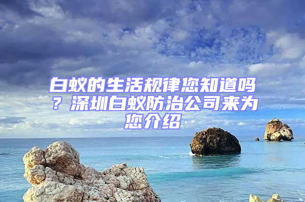 白蟻的生活規(guī)律您知道嗎？深圳白蟻防治公司來為您介紹