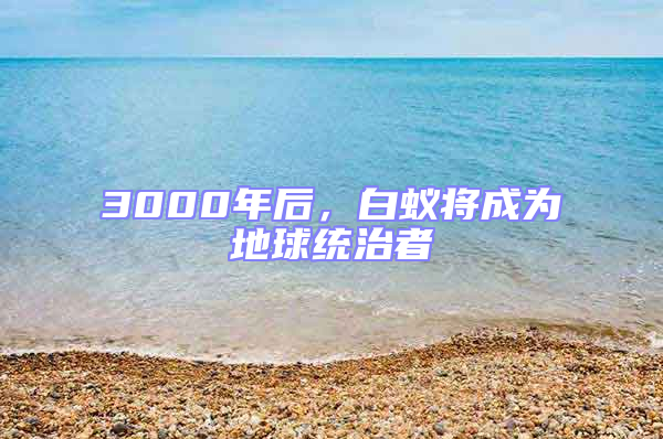 3000年后，白蟻將成為地球統治者