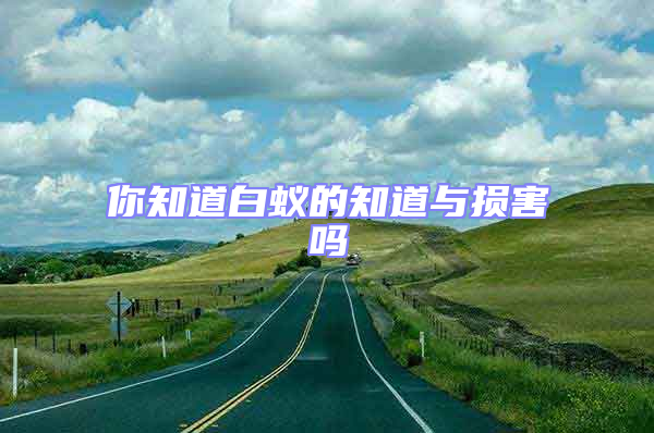 你知道白蟻的知道與損害嗎