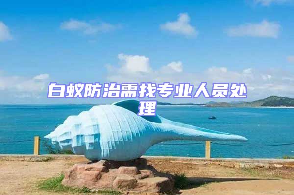 白蟻防治需找專(zhuān)業(yè)人員處理