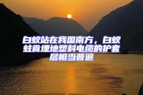 白蟻站在我國南方，白蟻蛀食埋地塑料電纜的護套層相當普遍